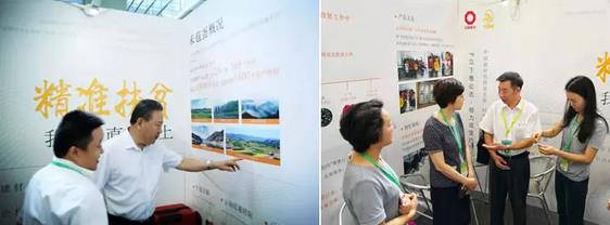 6686���� - ��ͨ�ײ�ȫ������������������