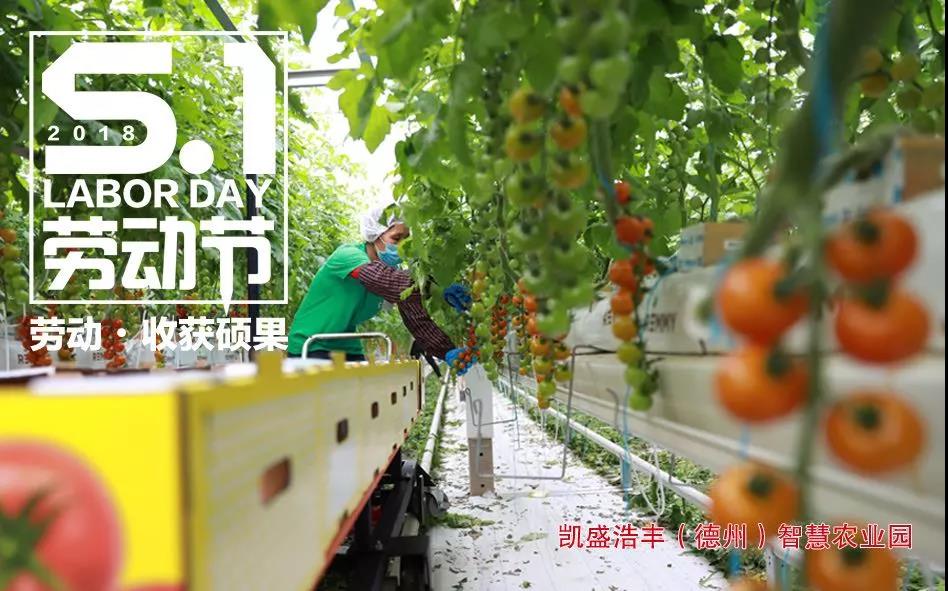 6686���� - ��ͨ�ײ�ȫ������������������