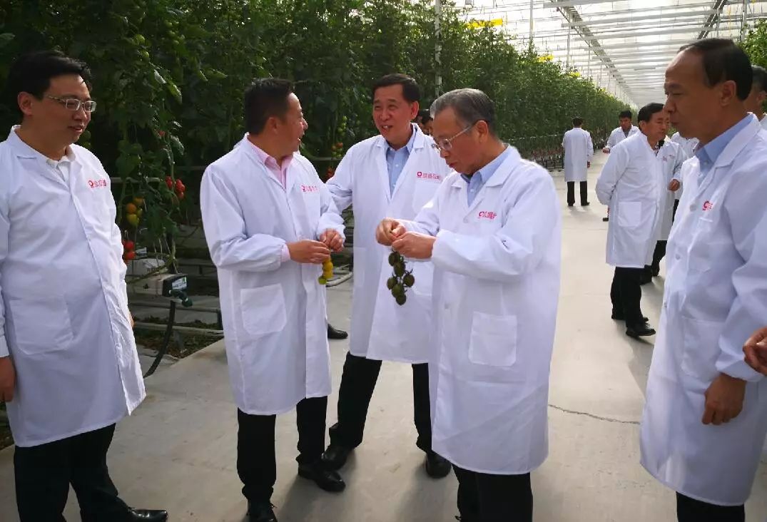 6686���� - ��ͨ�ײ�ȫ������������������