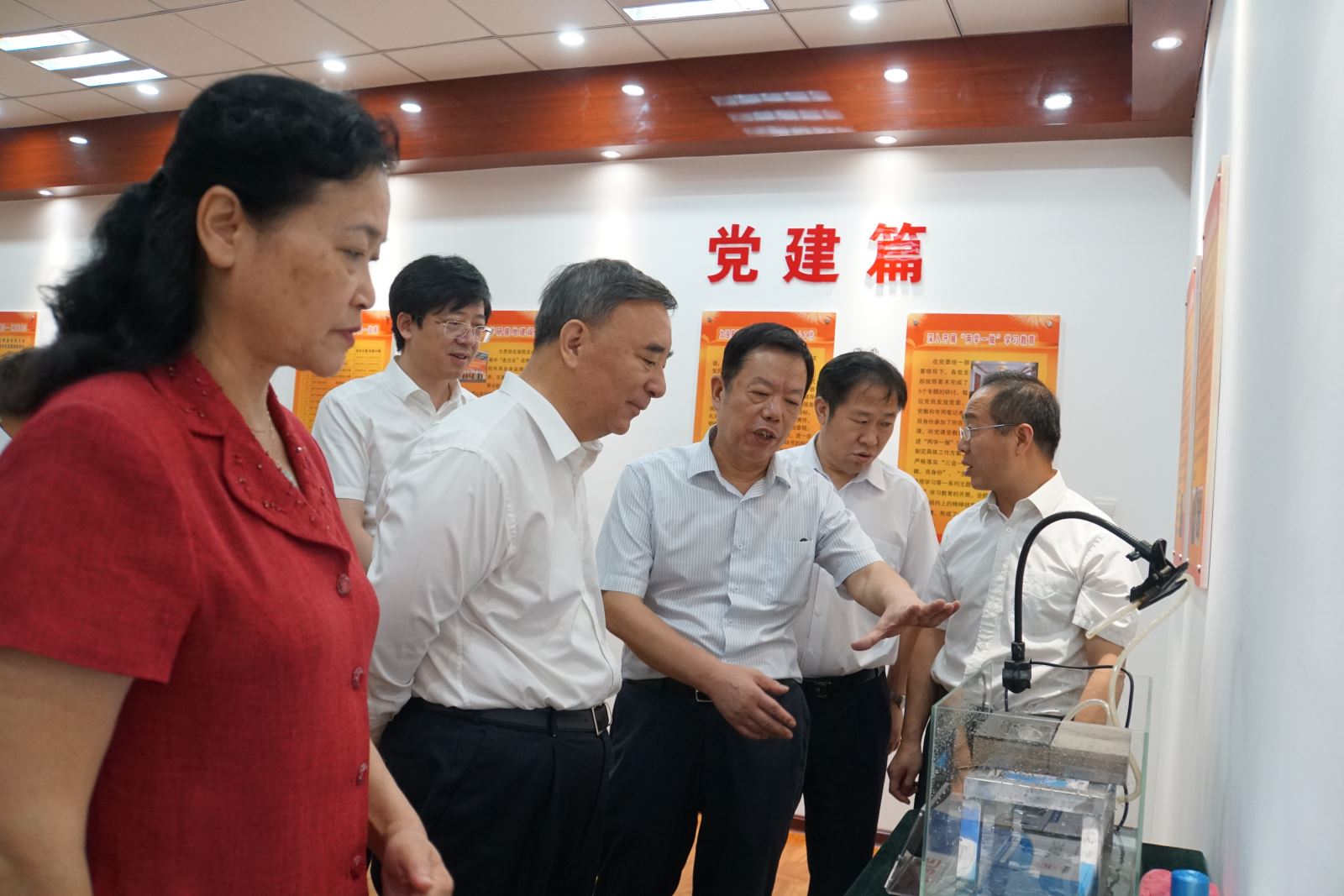 6686���� - ��ͨ�ײ�ȫ������������������