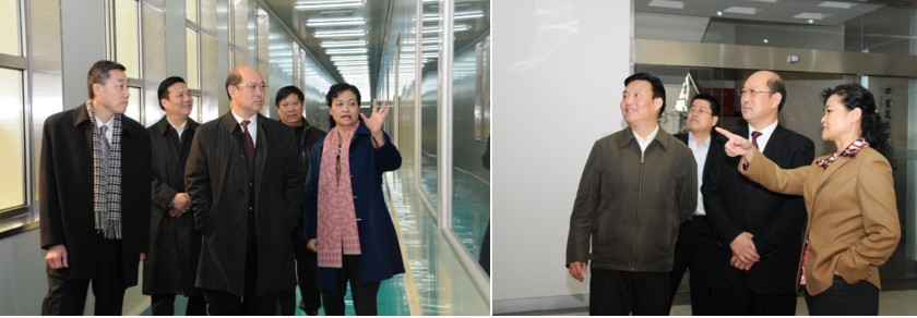 6686���� - ��ͨ�ײ�ȫ������������������