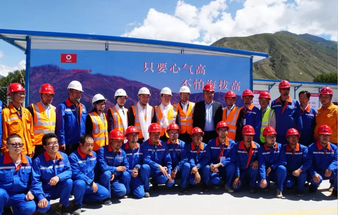 6686���� - ��ͨ�ײ�ȫ������������������