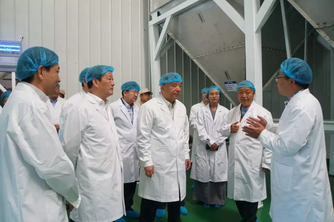 6686���� - ��ͨ�ײ�ȫ������������������