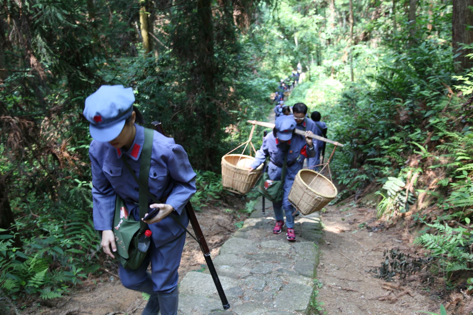 6686���� - ��ͨ�ײ�ȫ������������������