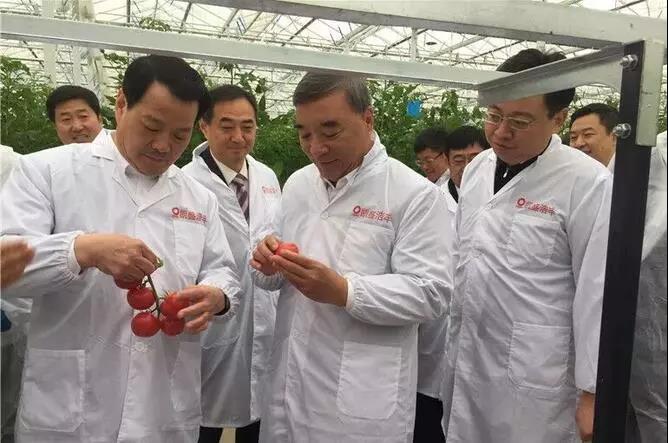 6686体育 - 流通首播全球篮球足球热门赛事