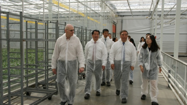 6686���� - ��ͨ�ײ�ȫ������������������