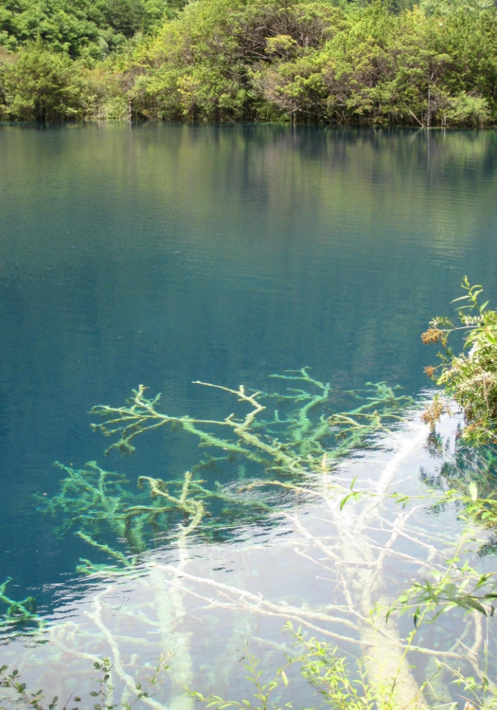 6686���� - ��ͨ�ײ�ȫ������������������