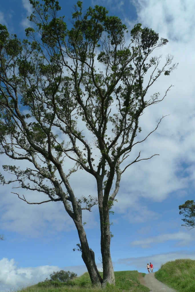 6686���� - ��ͨ�ײ�ȫ������������������