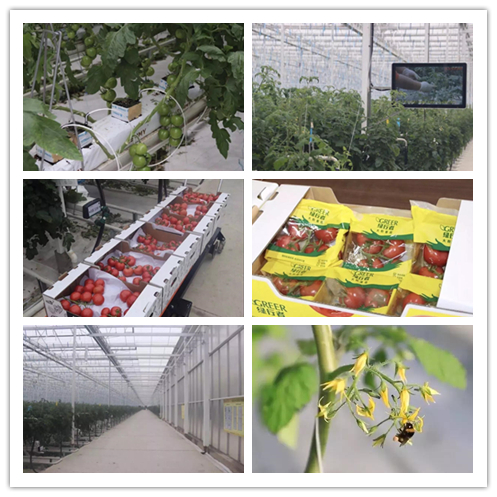 6686体育 - 流通首播全球篮球足球热门赛事