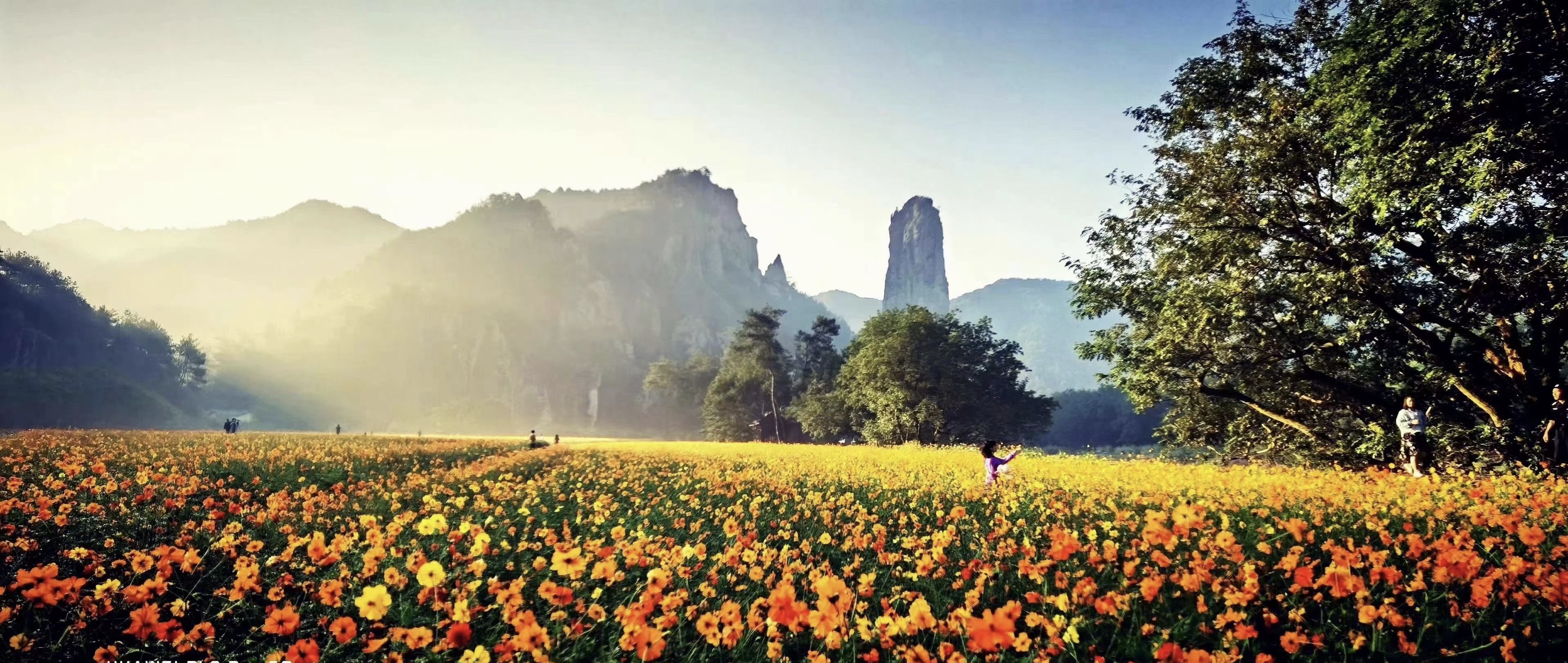 6686���� - ��ͨ�ײ�ȫ������������������