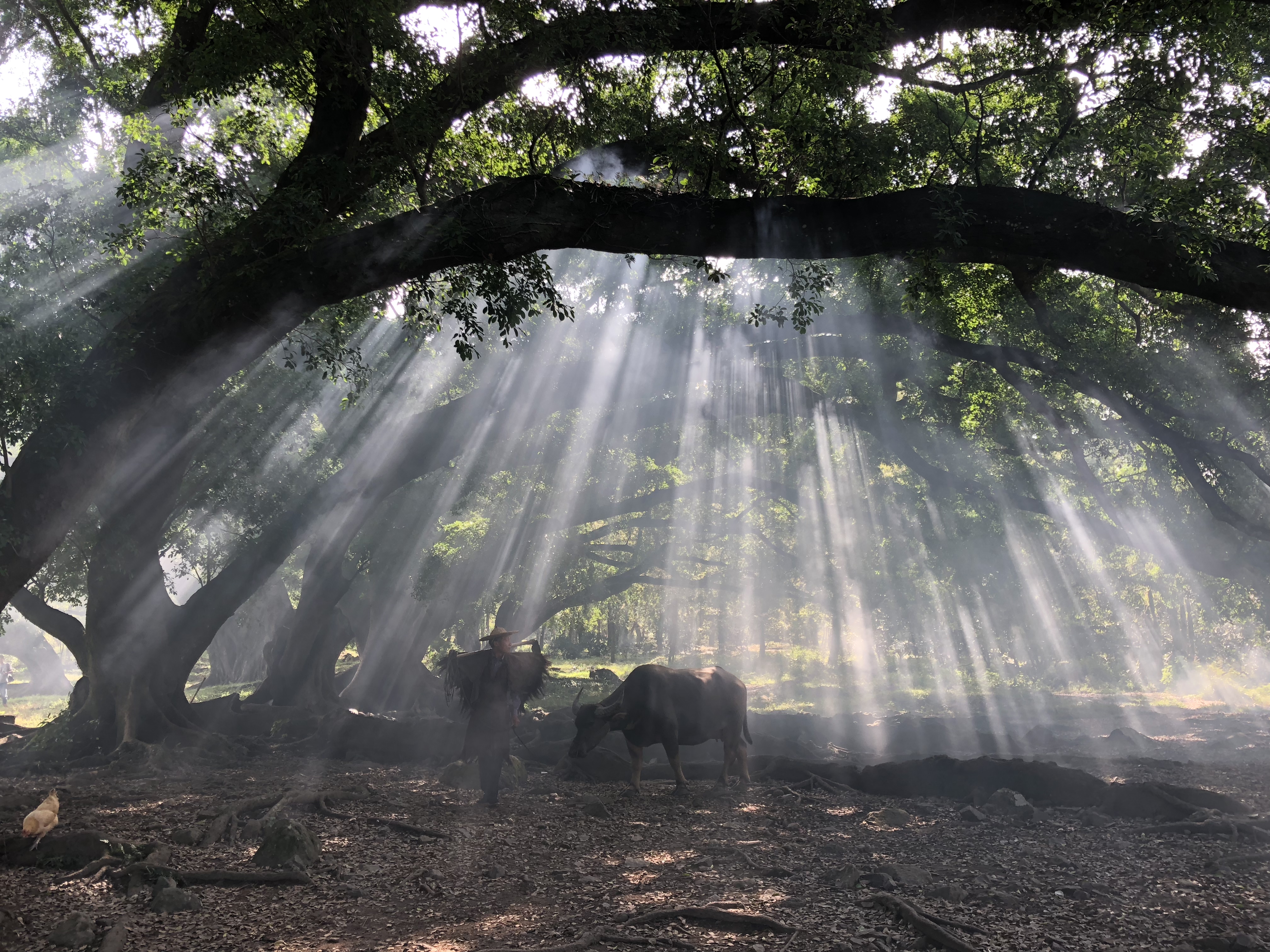 6686���� - ��ͨ�ײ�ȫ������������������