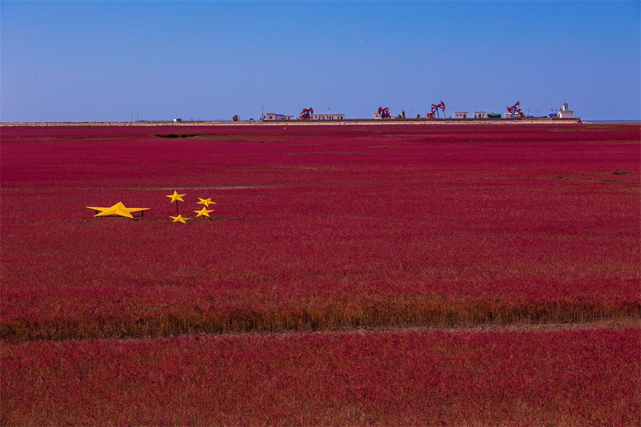 6686���� - ��ͨ�ײ�ȫ������������������