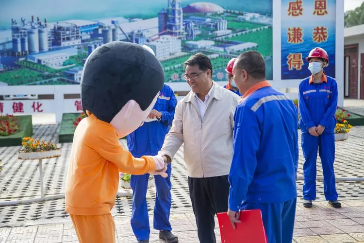 6686���� - ��ͨ�ײ�ȫ������������������