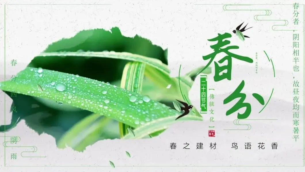 ���մ��� | ��֮6686���� - �����ײ�ȫ��������������������������������ݺ������