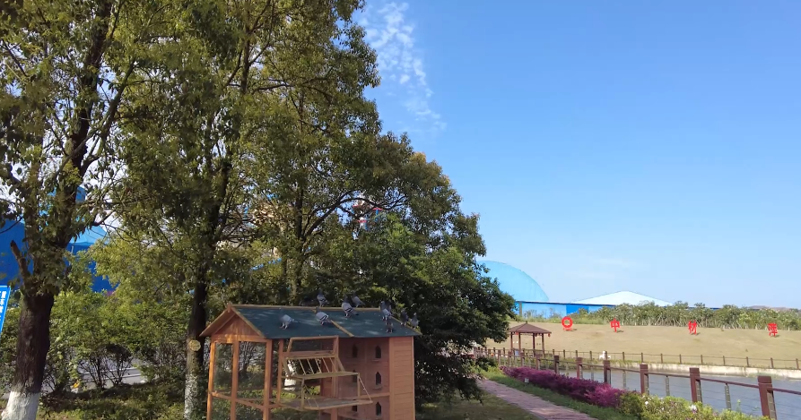 ������ʱ������������������԰������������