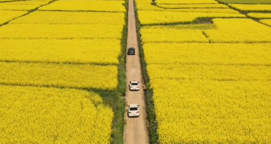 ����������������������һ��������������������������ʱ�⣨���Σ�