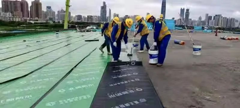 6686���� - ��ͨ�ײ�ȫ������������������