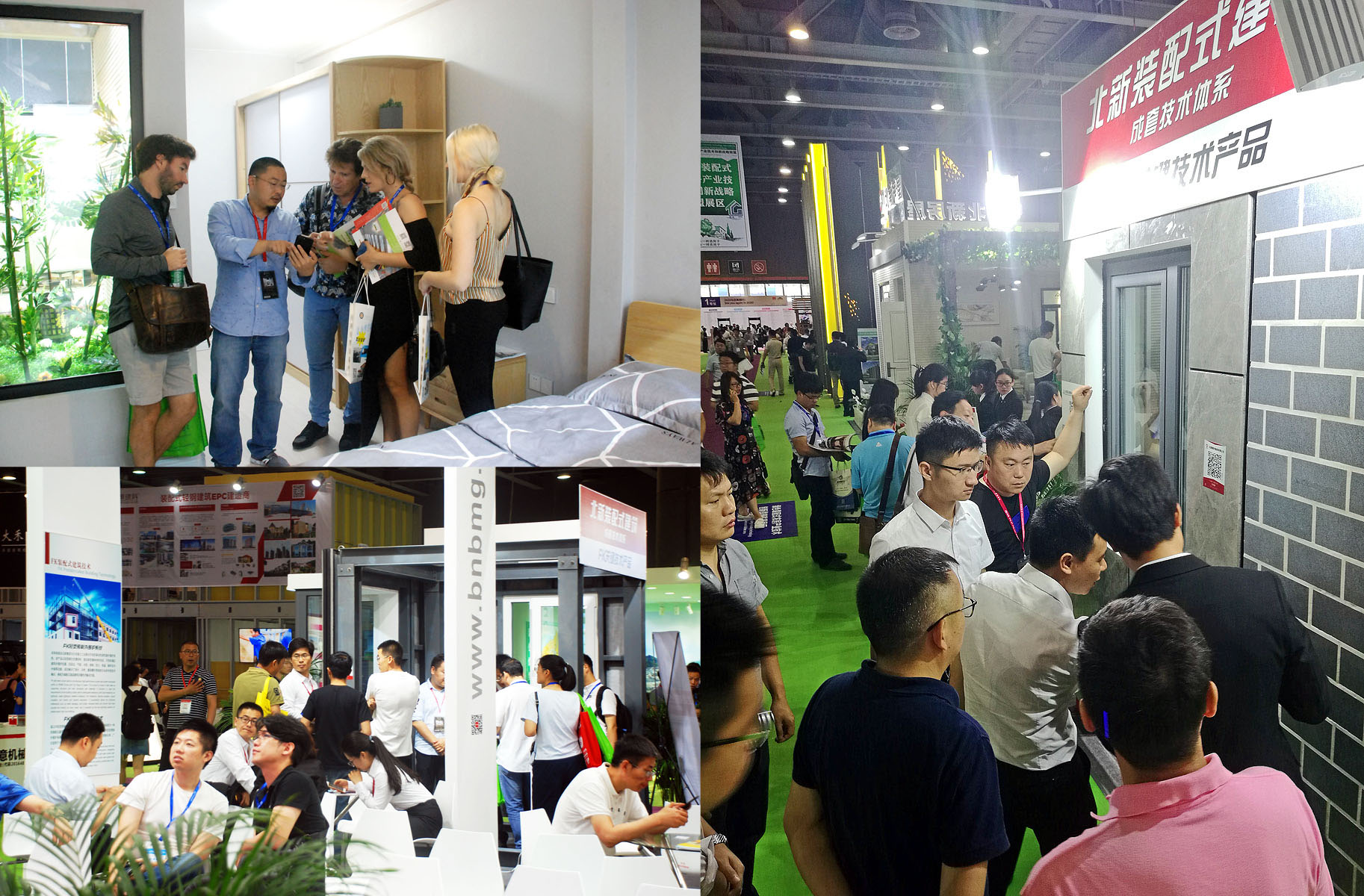 6686���� - ��ͨ�ײ�ȫ������������������