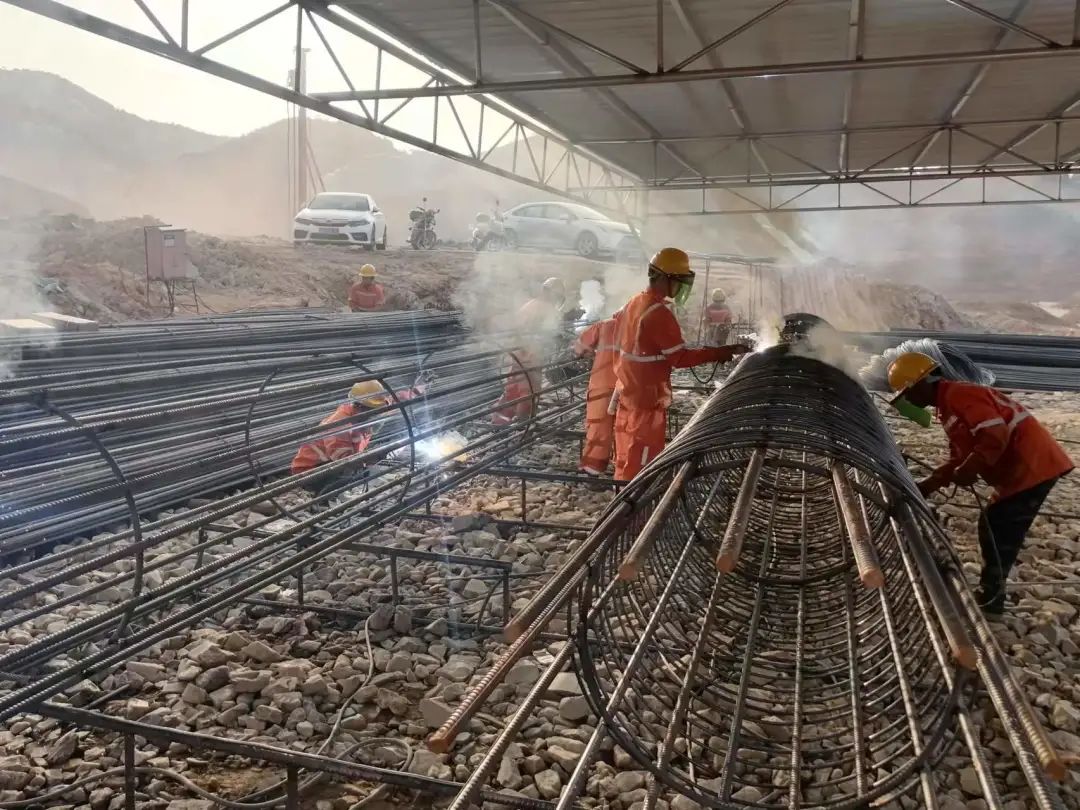 6686���� - ��ͨ�ײ�ȫ������������������