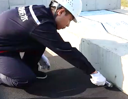 6686���� - ��ͨ�ײ�ȫ������������������