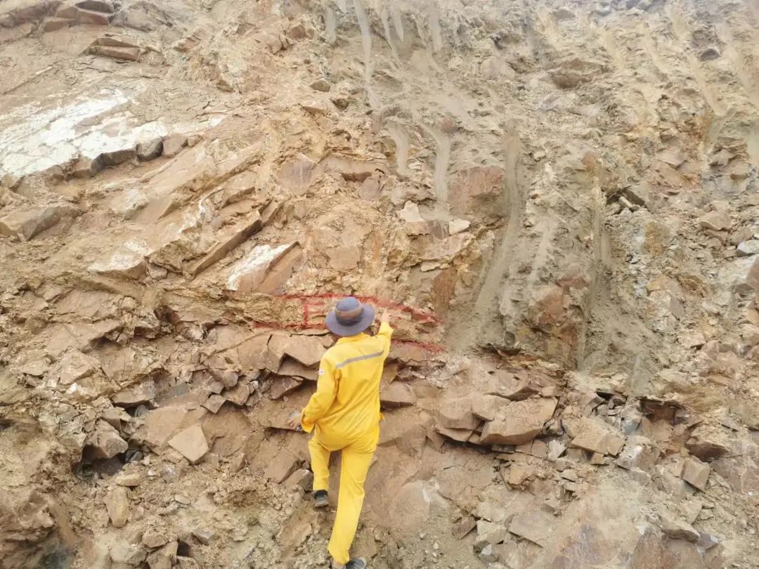 6686���� - ��ͨ�ײ�ȫ������������������