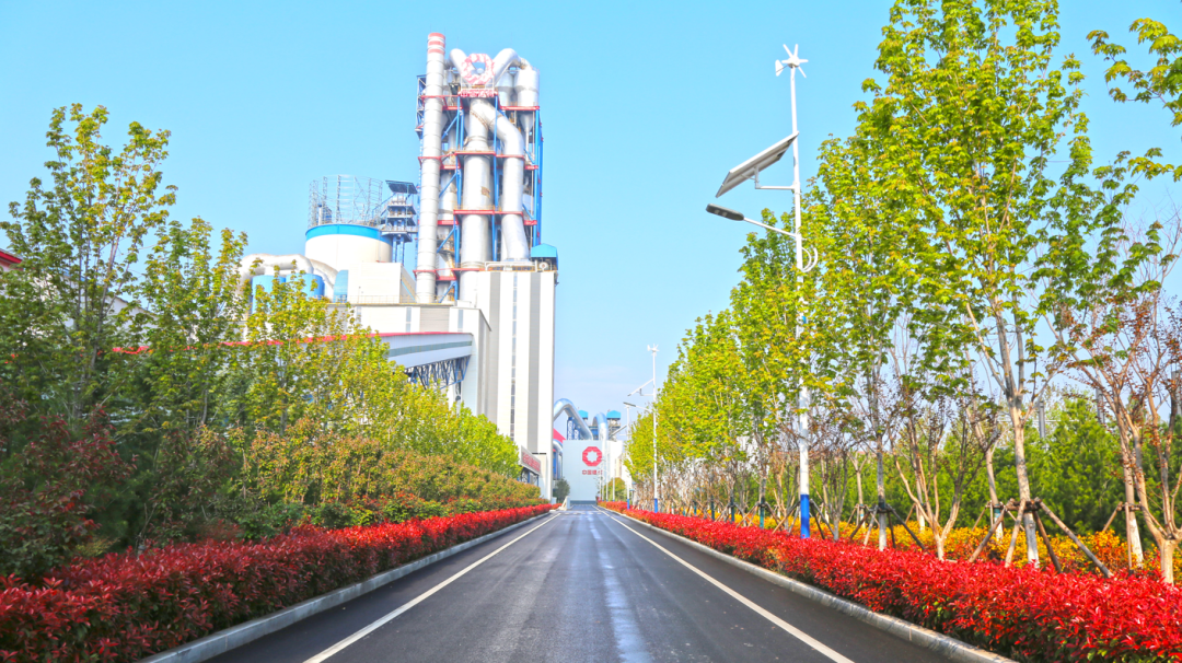 6686���� - ��ͨ�ײ�ȫ������������������